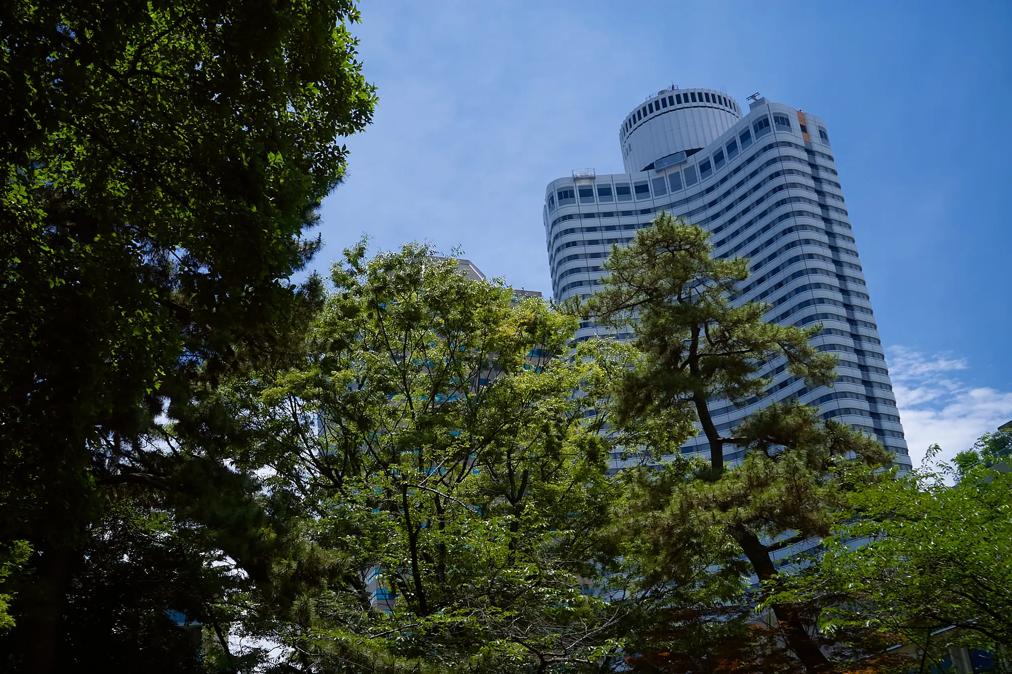 どうしてもたどり着いてしまう清水谷公園