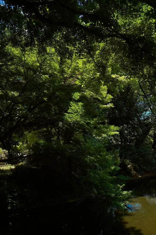 どうしてもたどり着いてしまう清水谷公園