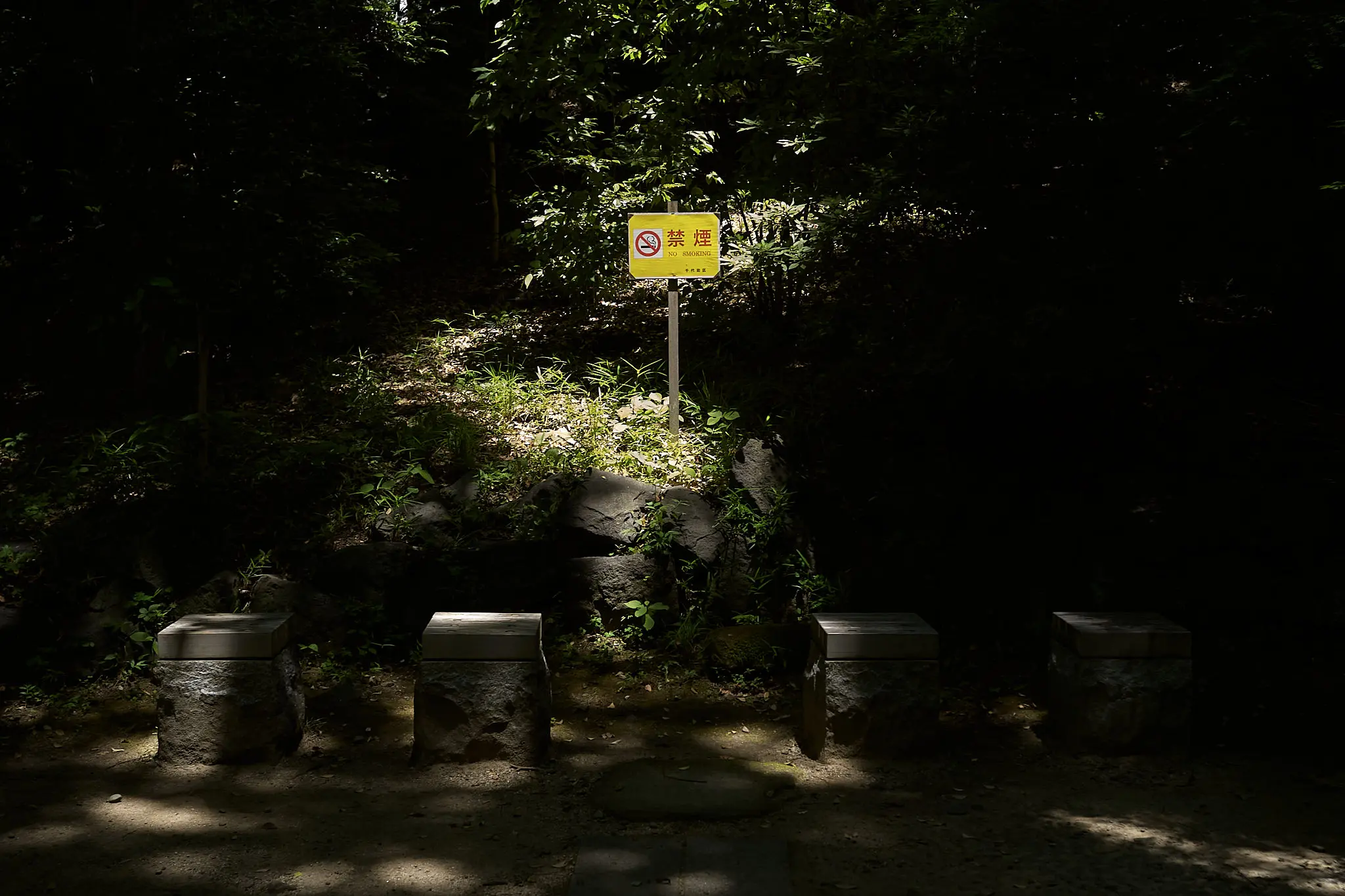 どうしてもたどり着いてしまう清水谷公園