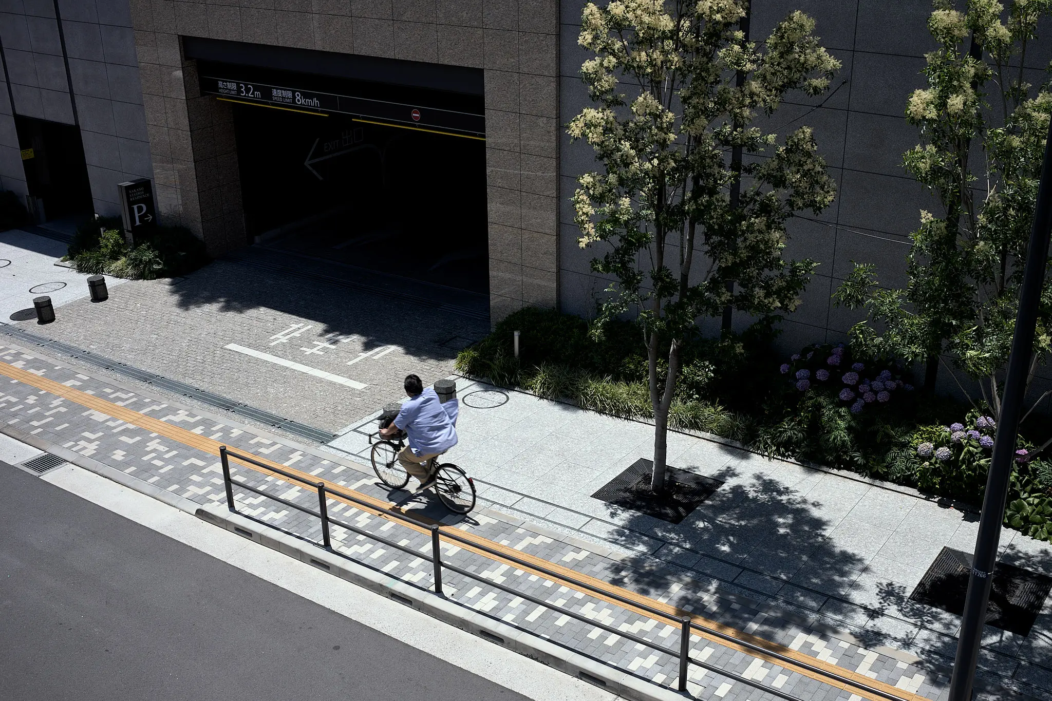 紅葉谷公園の蒸気機関車がいつもと違う?
