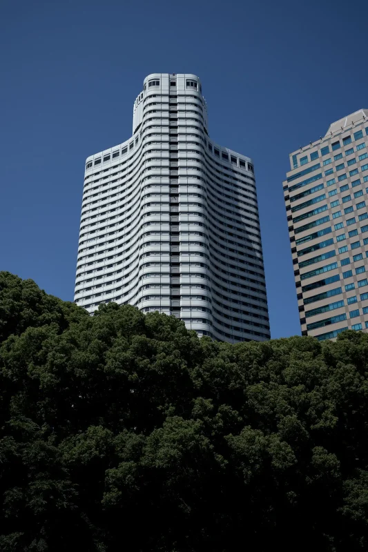 赤坂御門の石垣で黒田家の紋を探せ!
