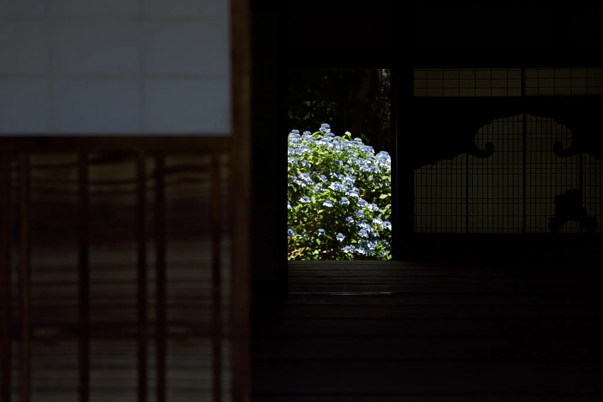 放光寺アラカルト