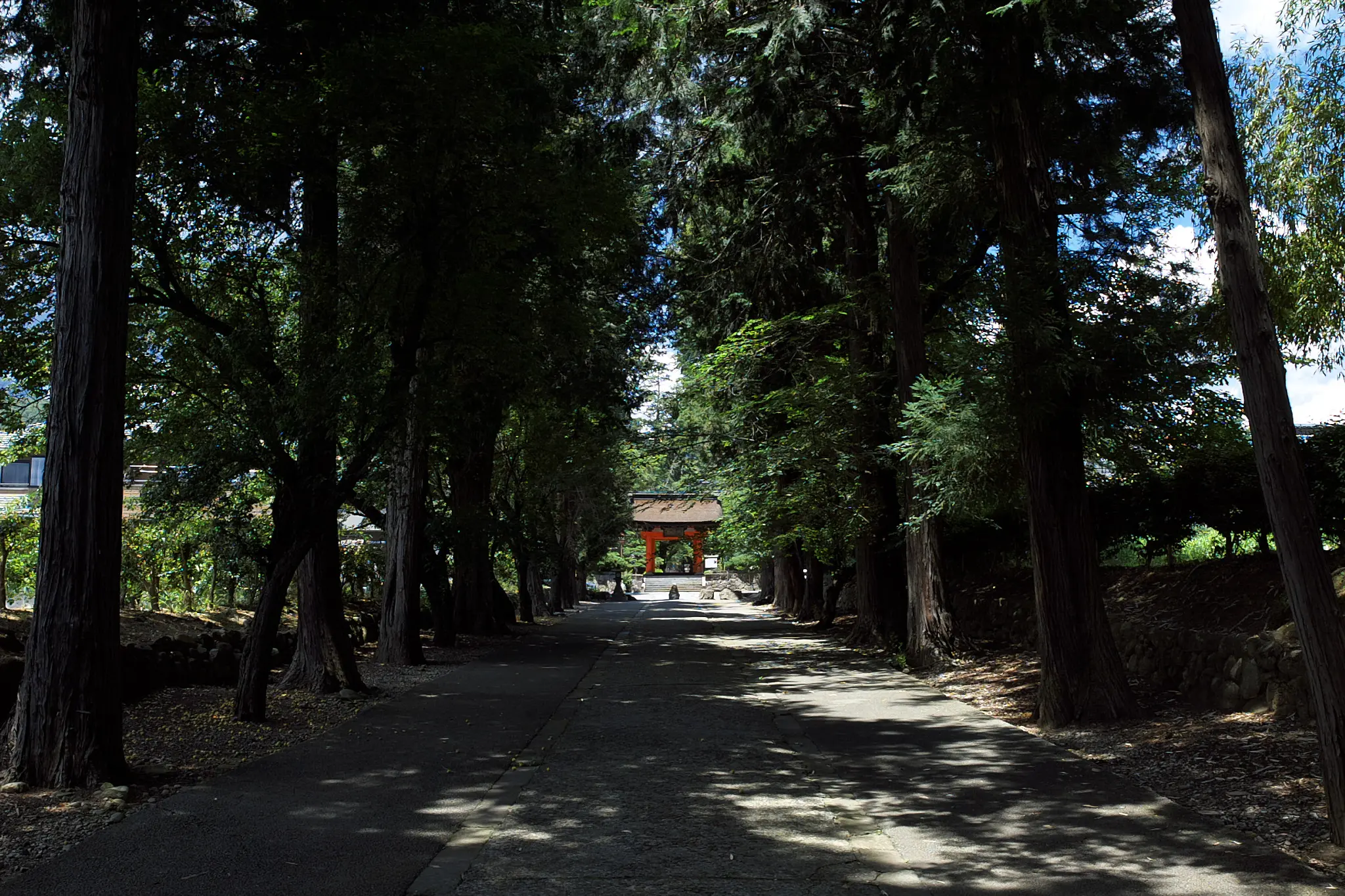 恵林寺でもアジサイを楽しめますぞ!