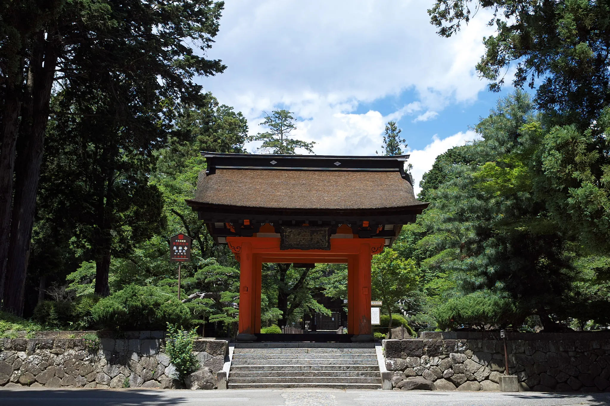 恵林寺でもアジサイを楽しめますぞ!