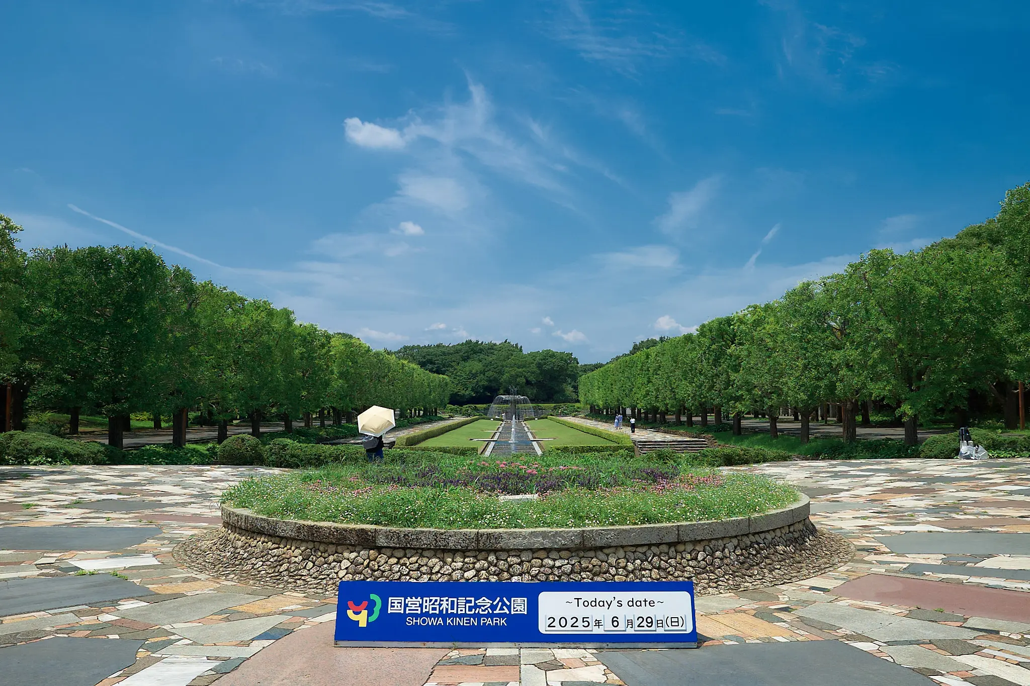 アジサイ目当てで昭和記念公園に行ってきた