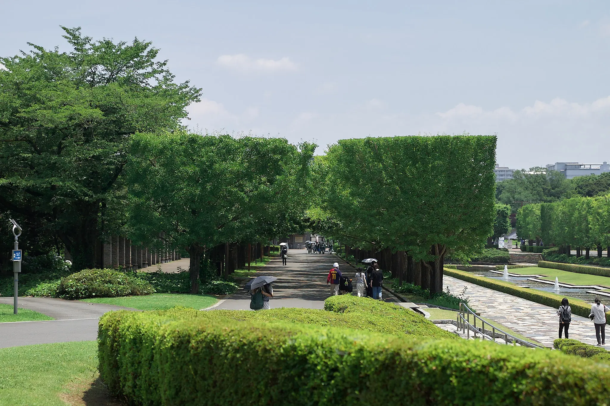 アジサイ目当てで昭和記念公園に行ってきた