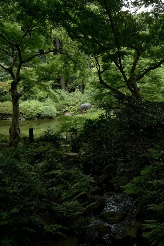 東京都庭園美術館は中庭もイイ!