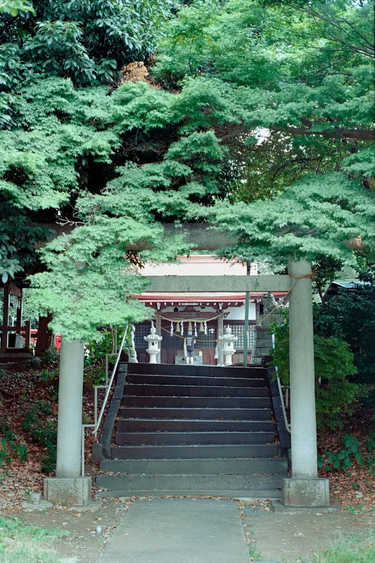 多摩湖に行くときは、多摩湖氷川神社から!