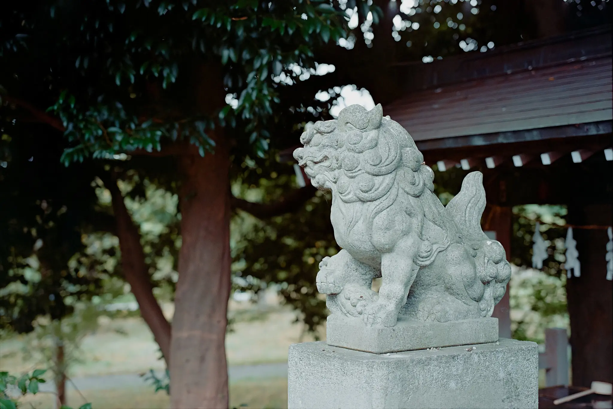 多摩湖に行くときは、多摩湖氷川神社から!