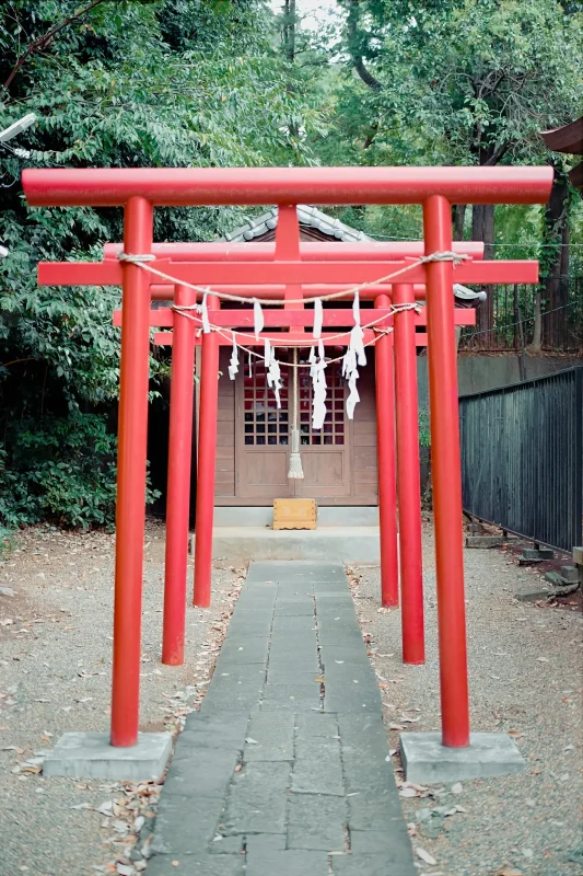 多摩湖に行くときは、多摩湖氷川神社から!