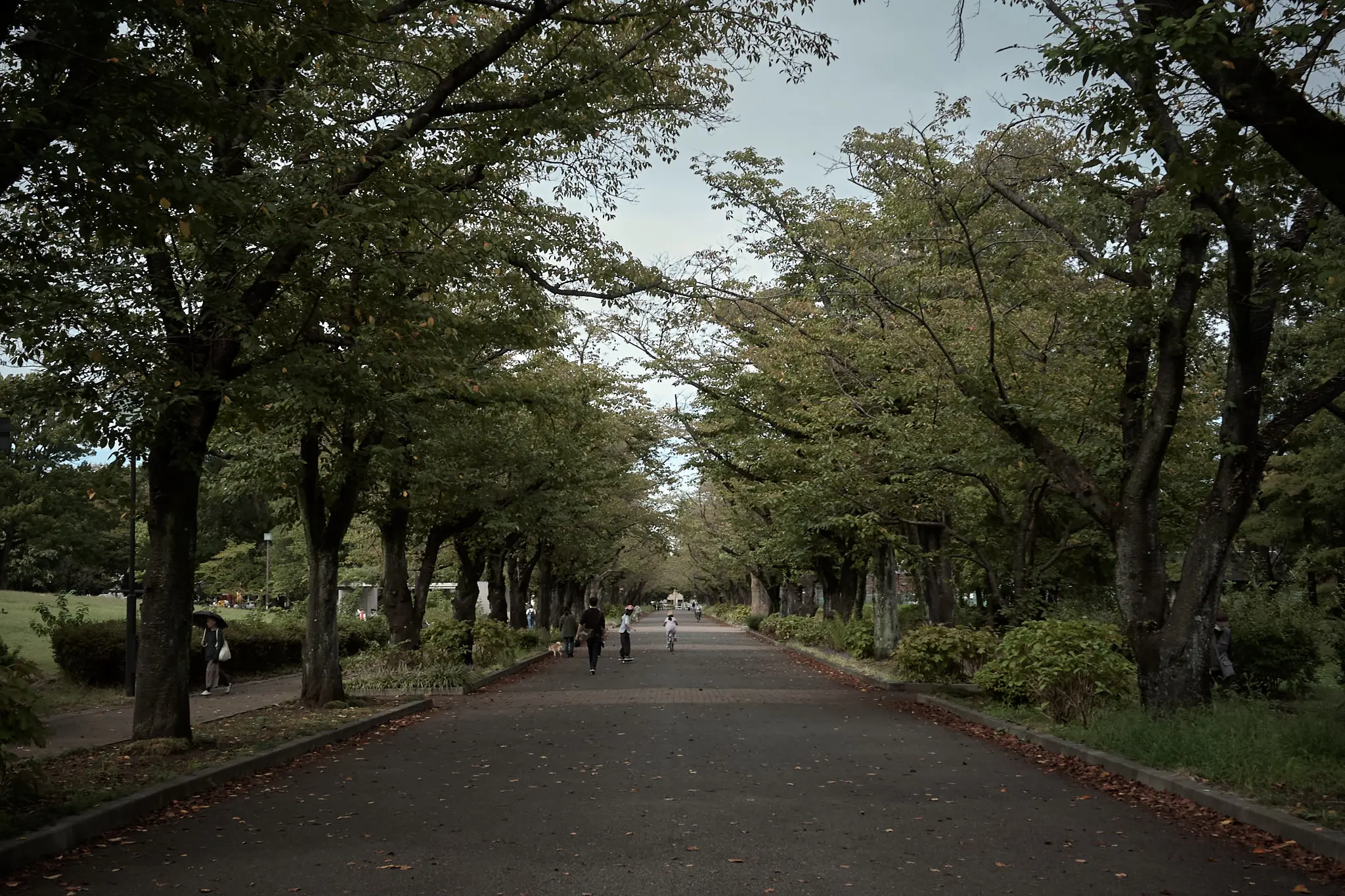 府中の森公園は、府中の森の中にありました