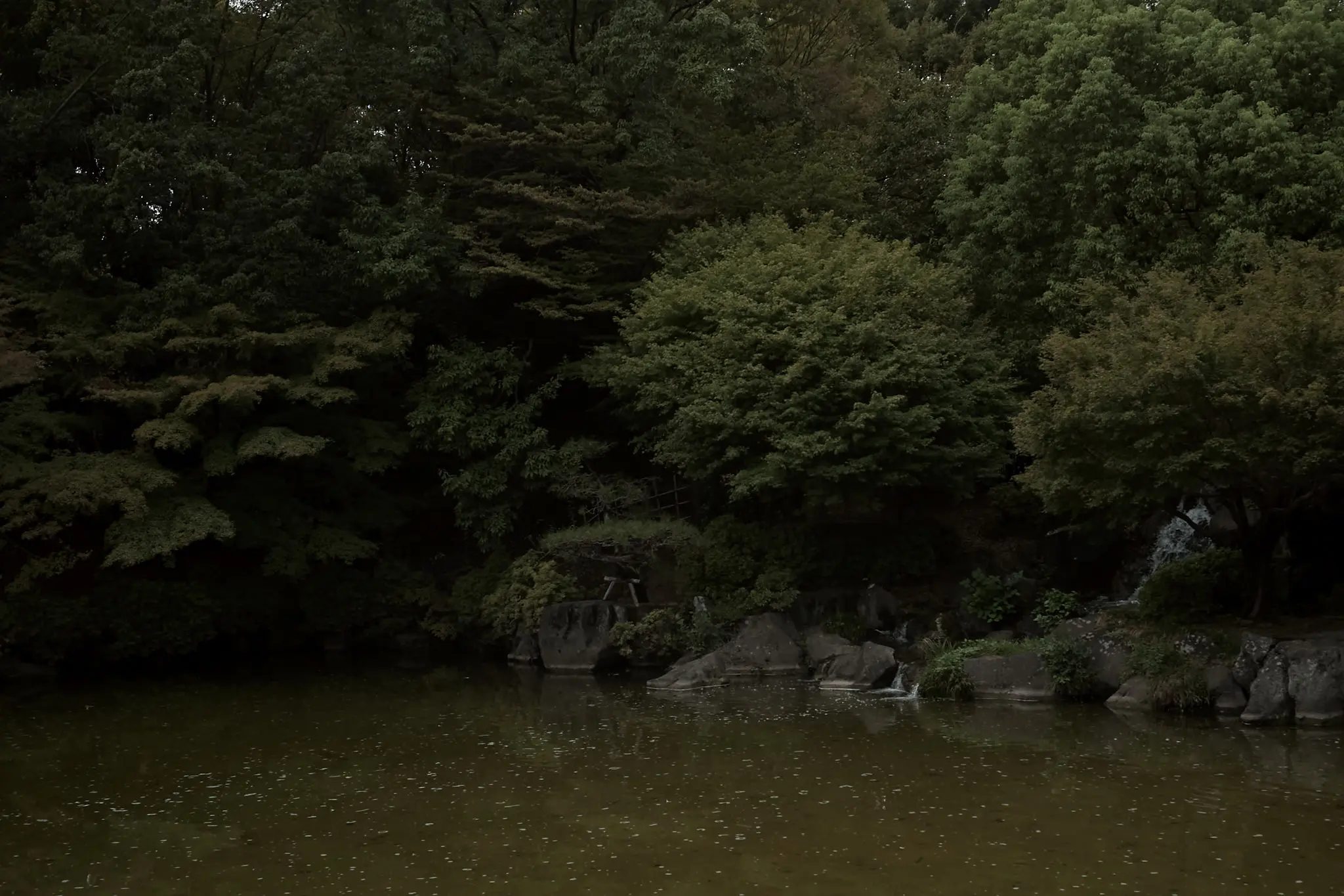 府中の森公園は、府中の森の中にありました