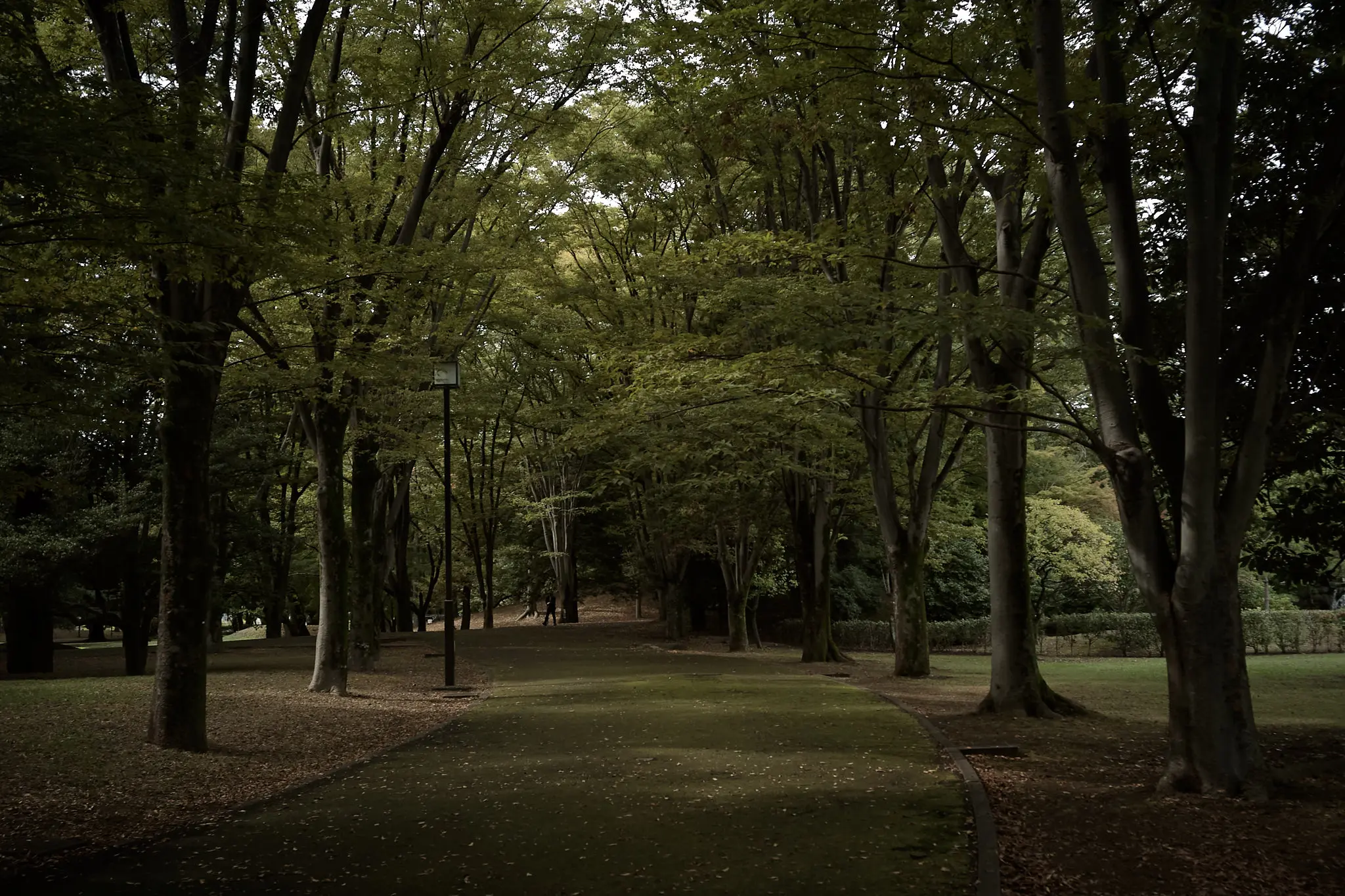 府中の森公園は、府中の森の中にありました