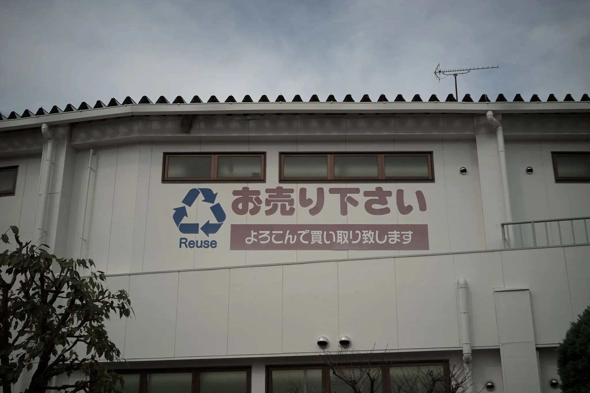 野川沿いはもう秋の装い