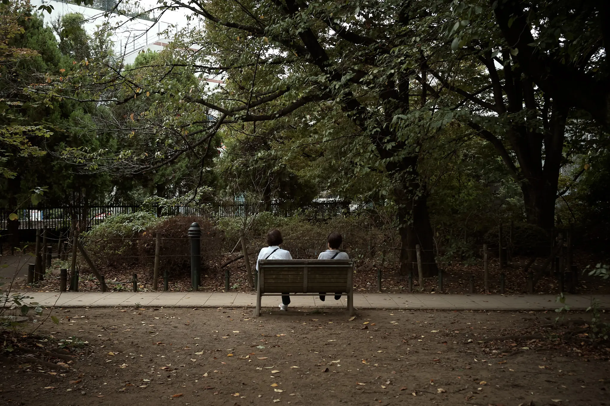 練馬の街は、案外面白いのでは?