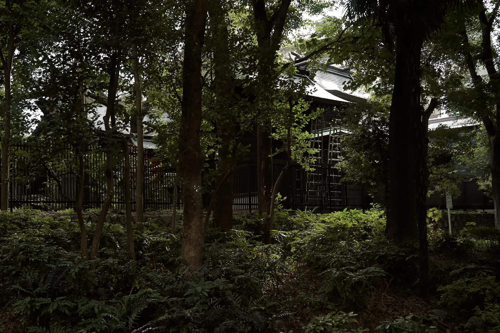 西新宿の熊野神社は、裏手の雰囲気が良い!