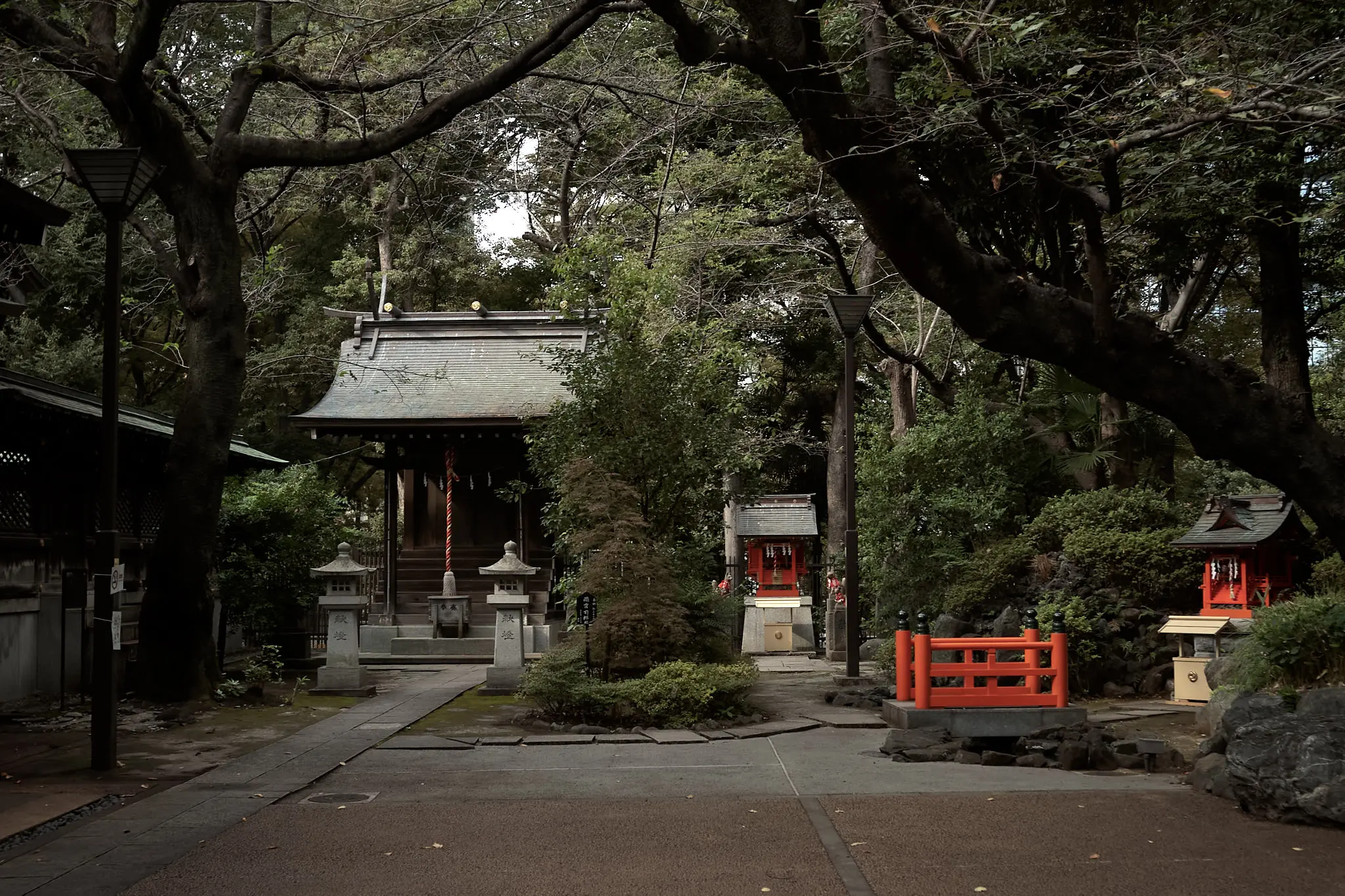 西新宿の熊野神社は、裏手の雰囲気が良い!