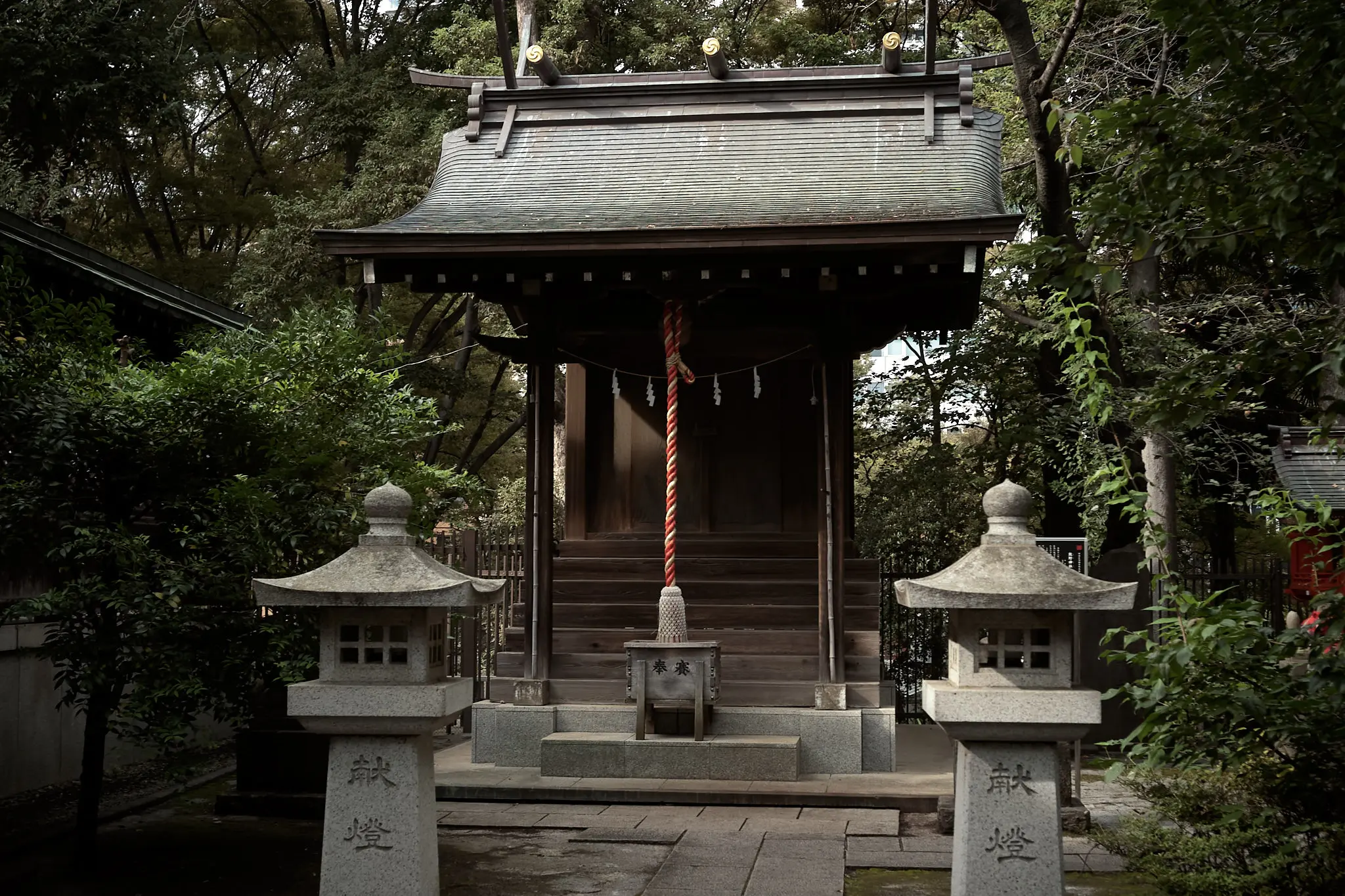 西新宿の熊野神社は、裏手の雰囲気が良い!