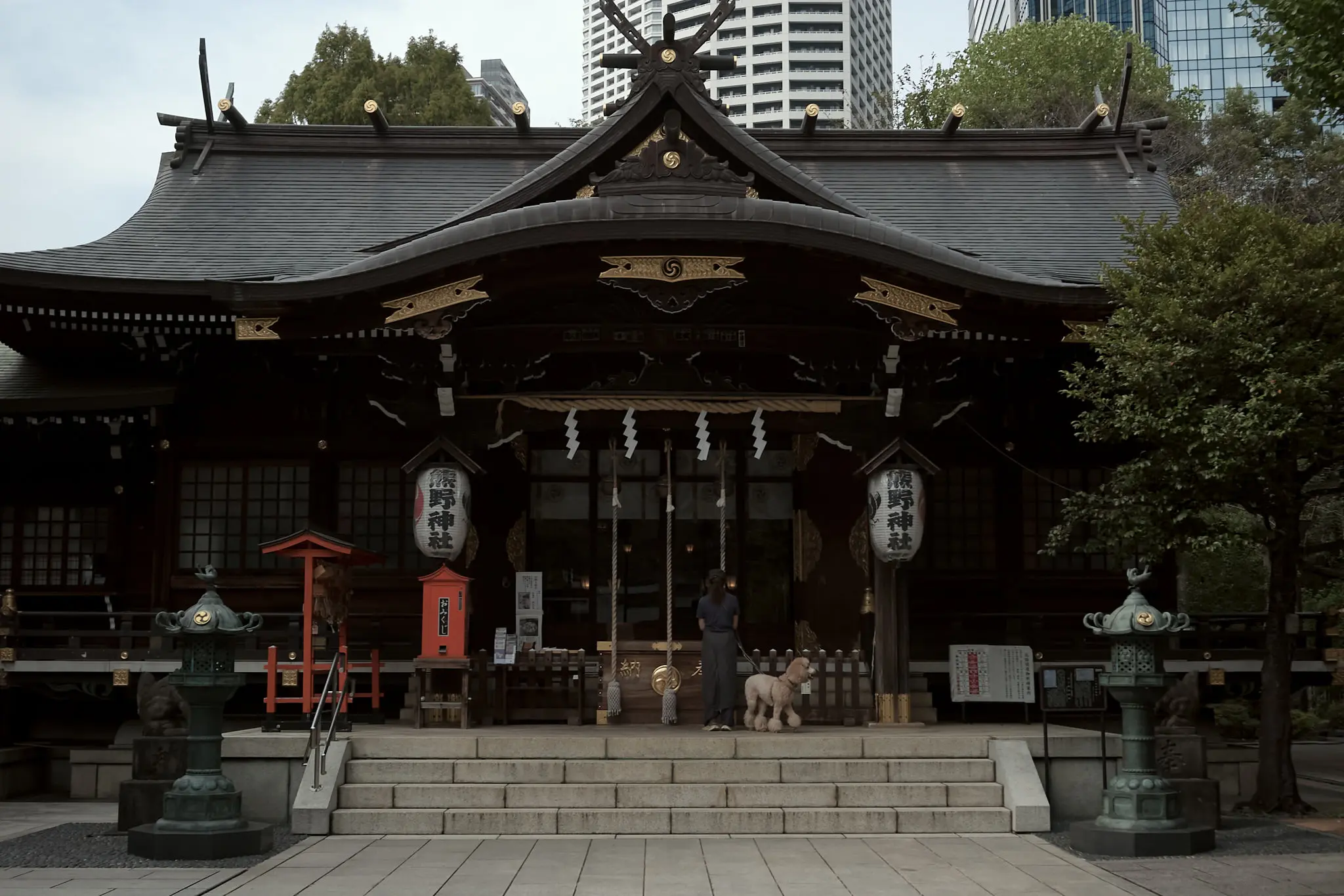 西新宿の熊野神社は、裏手の雰囲気が良い!