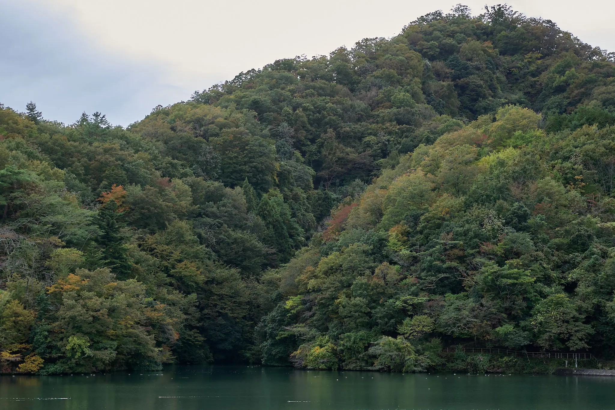 大野貯水池の紅葉はまだまだ