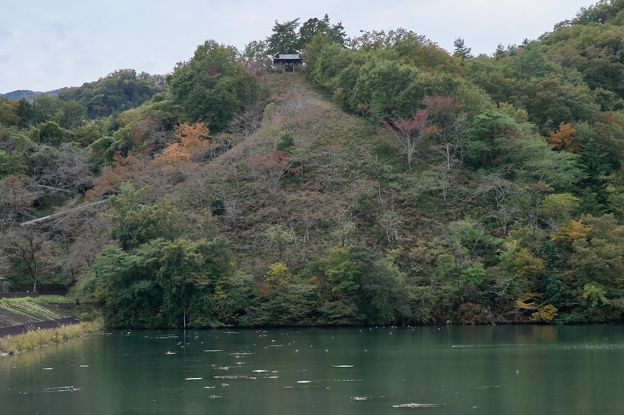 大野貯水池の紅葉はまだまだ