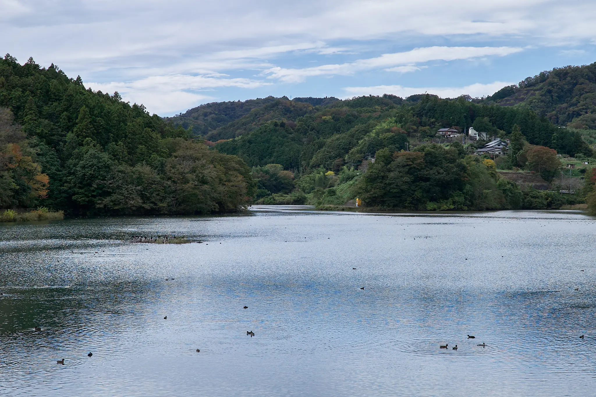 大野貯水池の紅葉はまだまだ