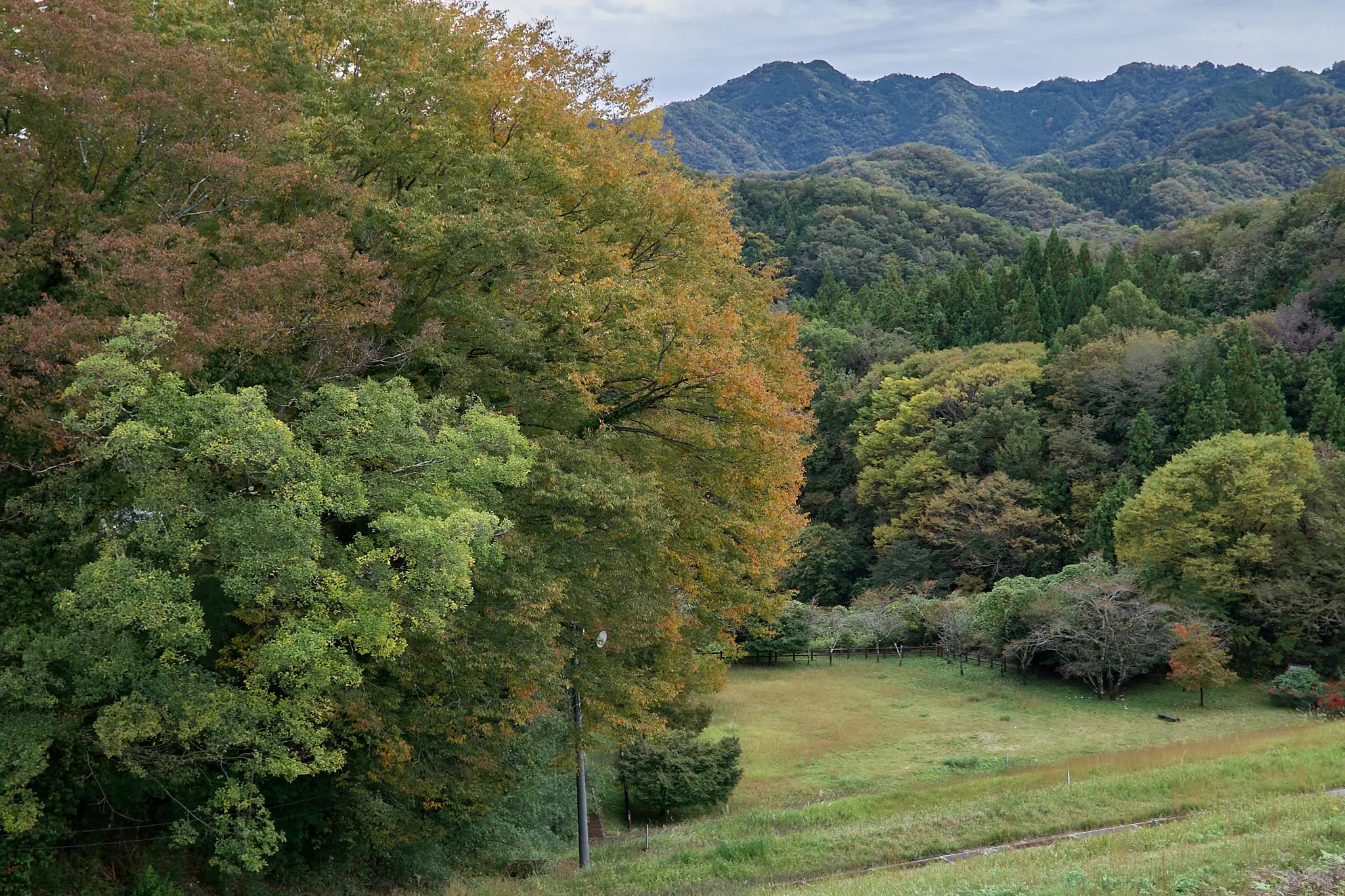 大野貯水池の紅葉はまだまだ