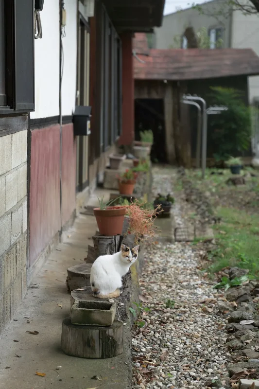大野貯水池の近くを散策したら…おった！