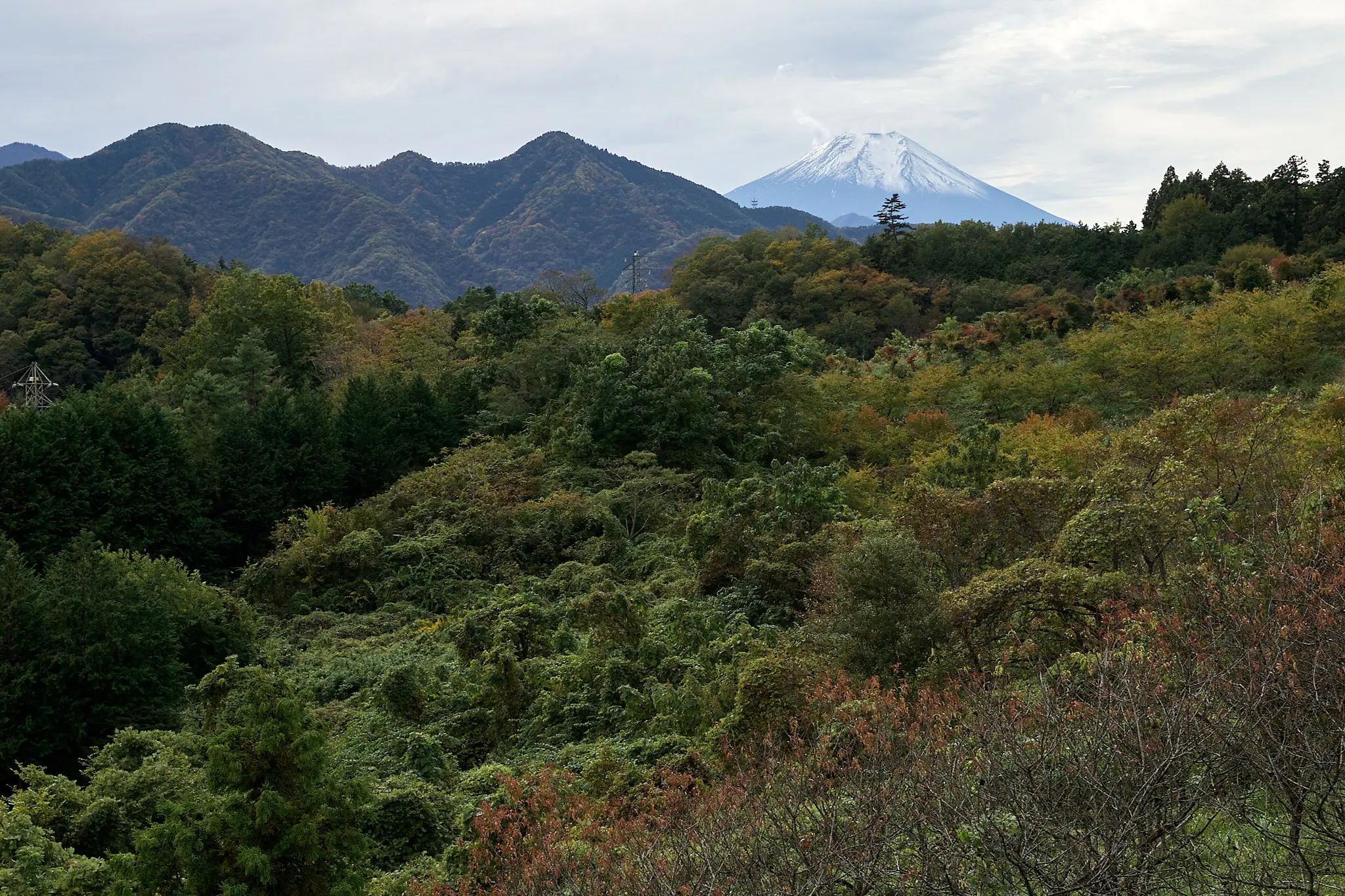 お待たせしました、雪をいただいた富士山です