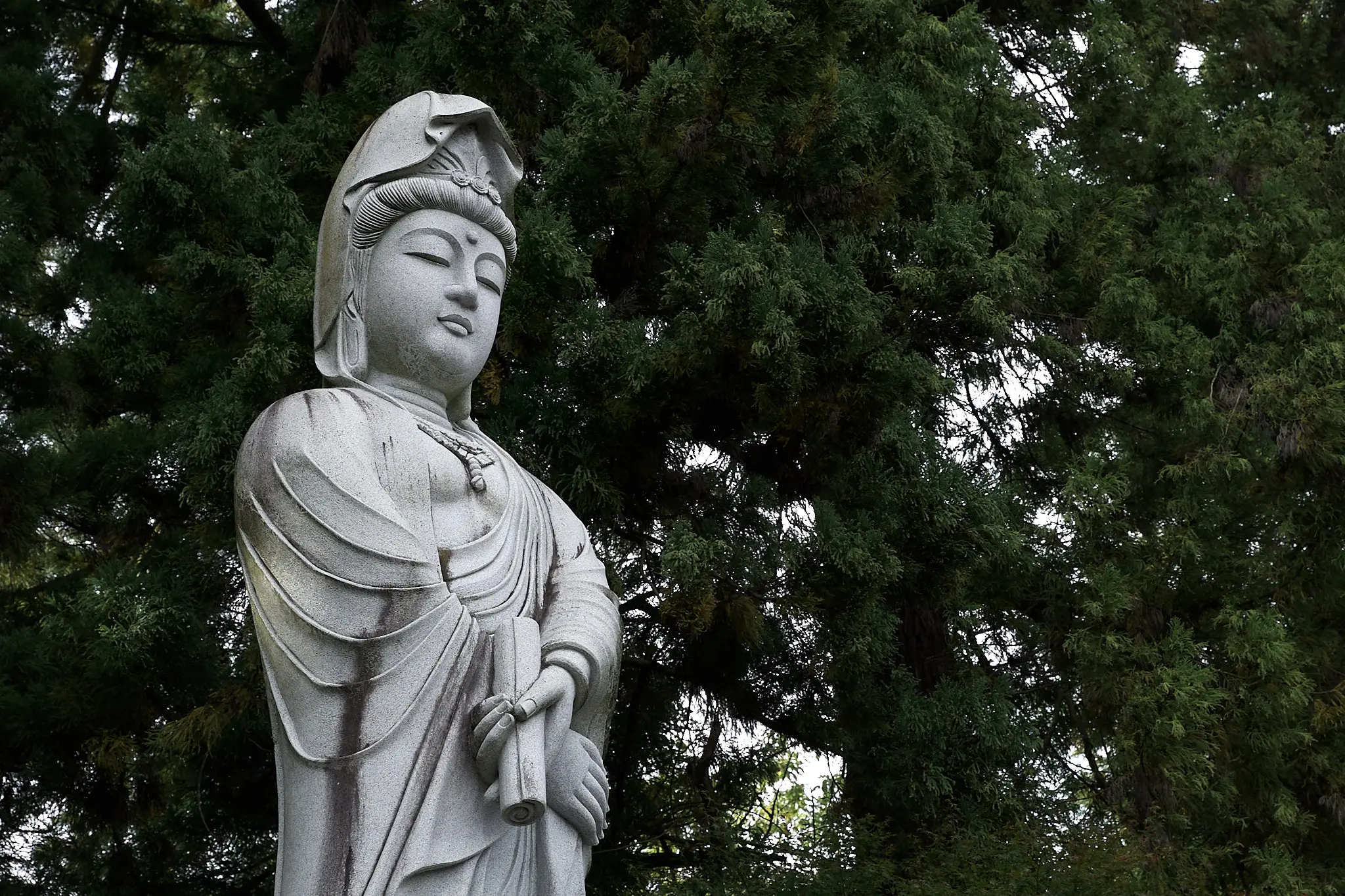 お待たせしました、雪をいただいた富士山です