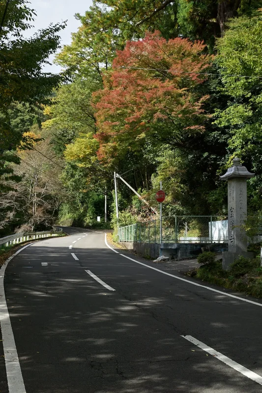 お待たせしました、雪をいただいた富士山です