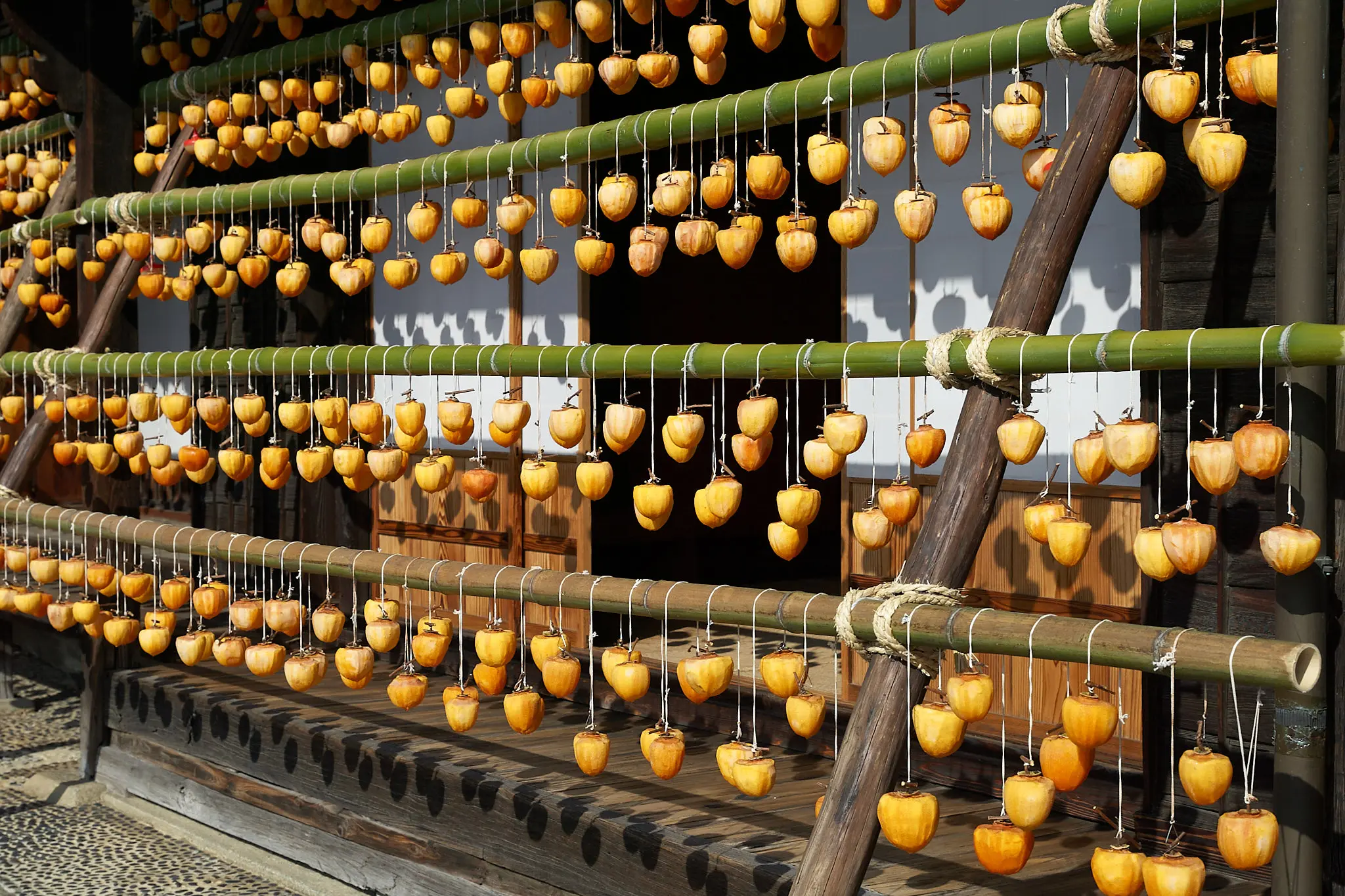 甘草屋敷の枯露柿、今年は早めに行ってみたものの…