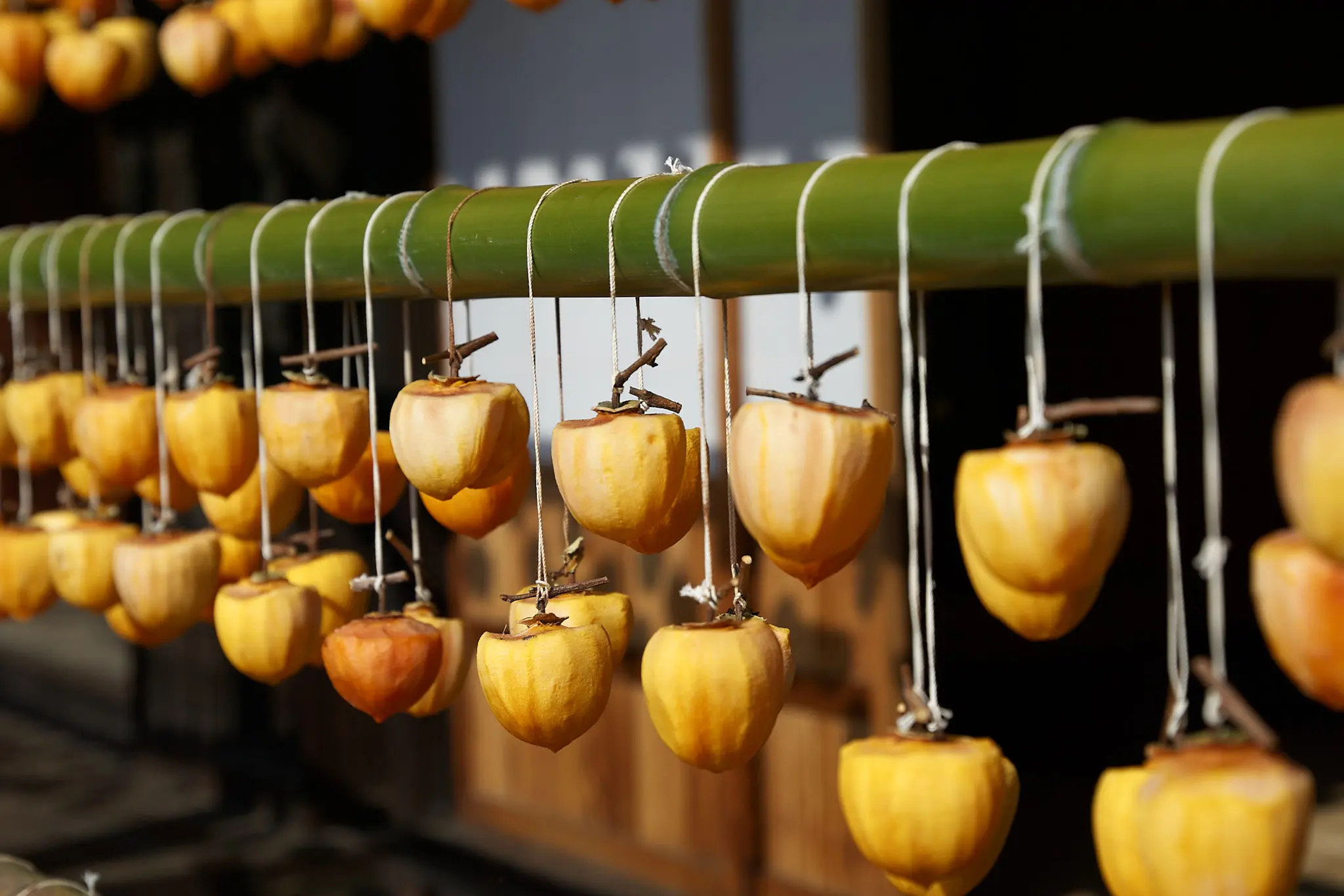 甘草屋敷の枯露柿、今年は早めに行ってみたものの…