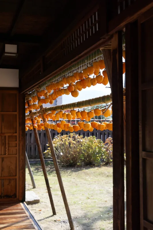 甘草屋敷の枯露柿、今年は早めに行ってみたものの…