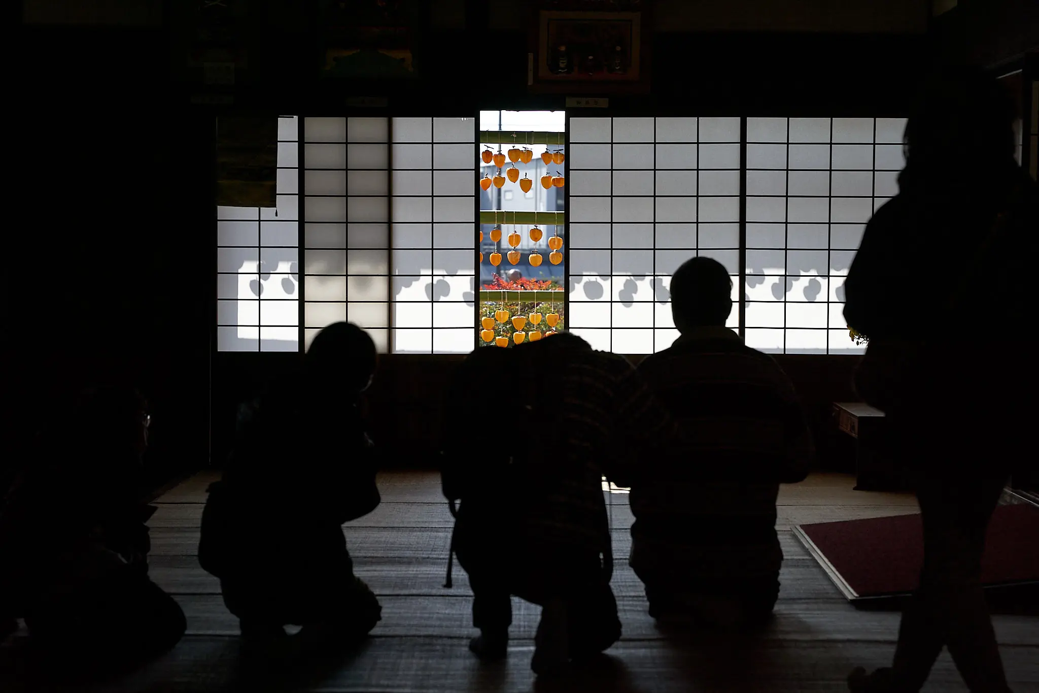 甘草屋敷の枯露柿、今年は早めに行ってみたものの…
