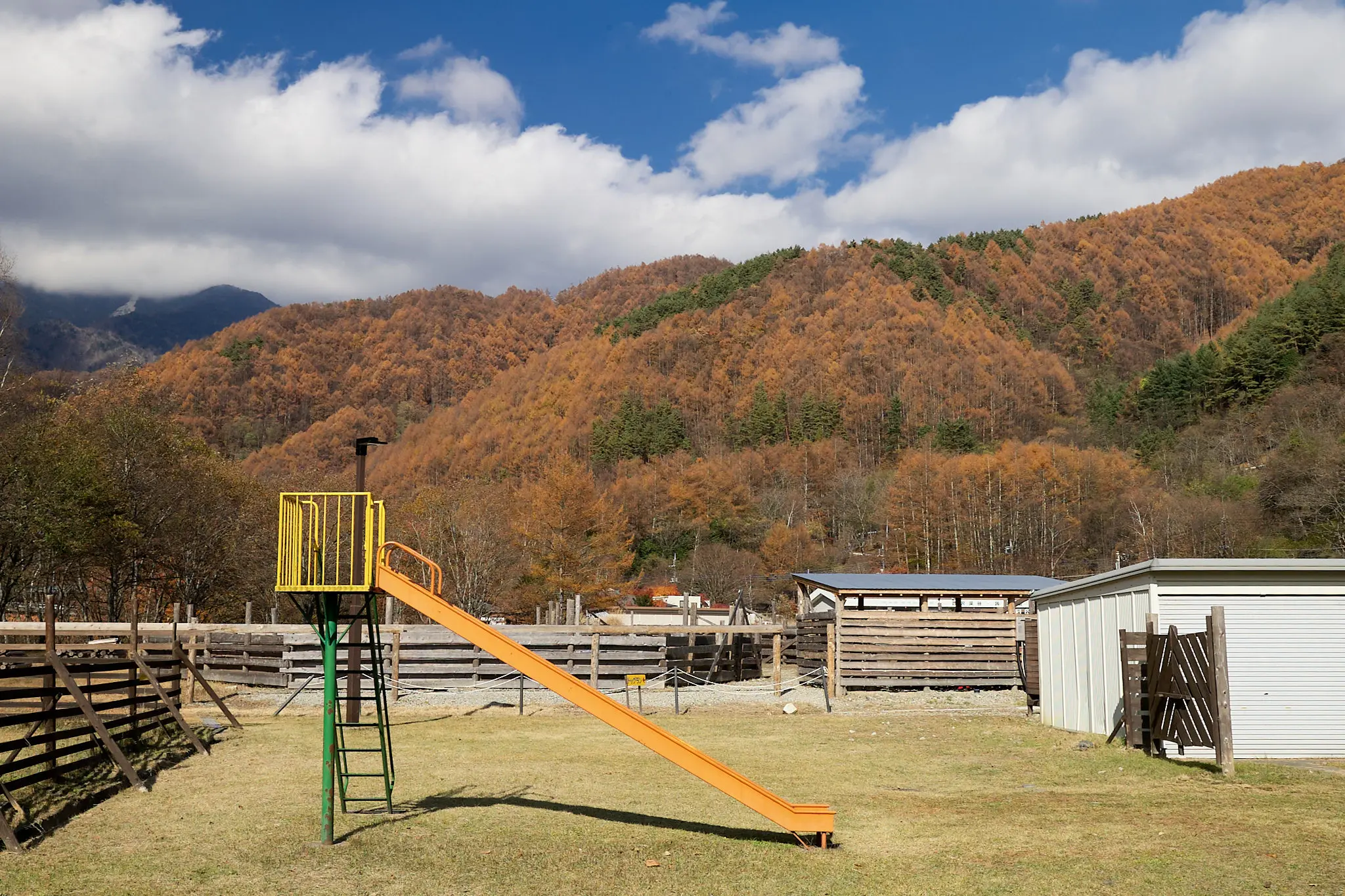 道の駅みとみで見た紅葉がキレイだった