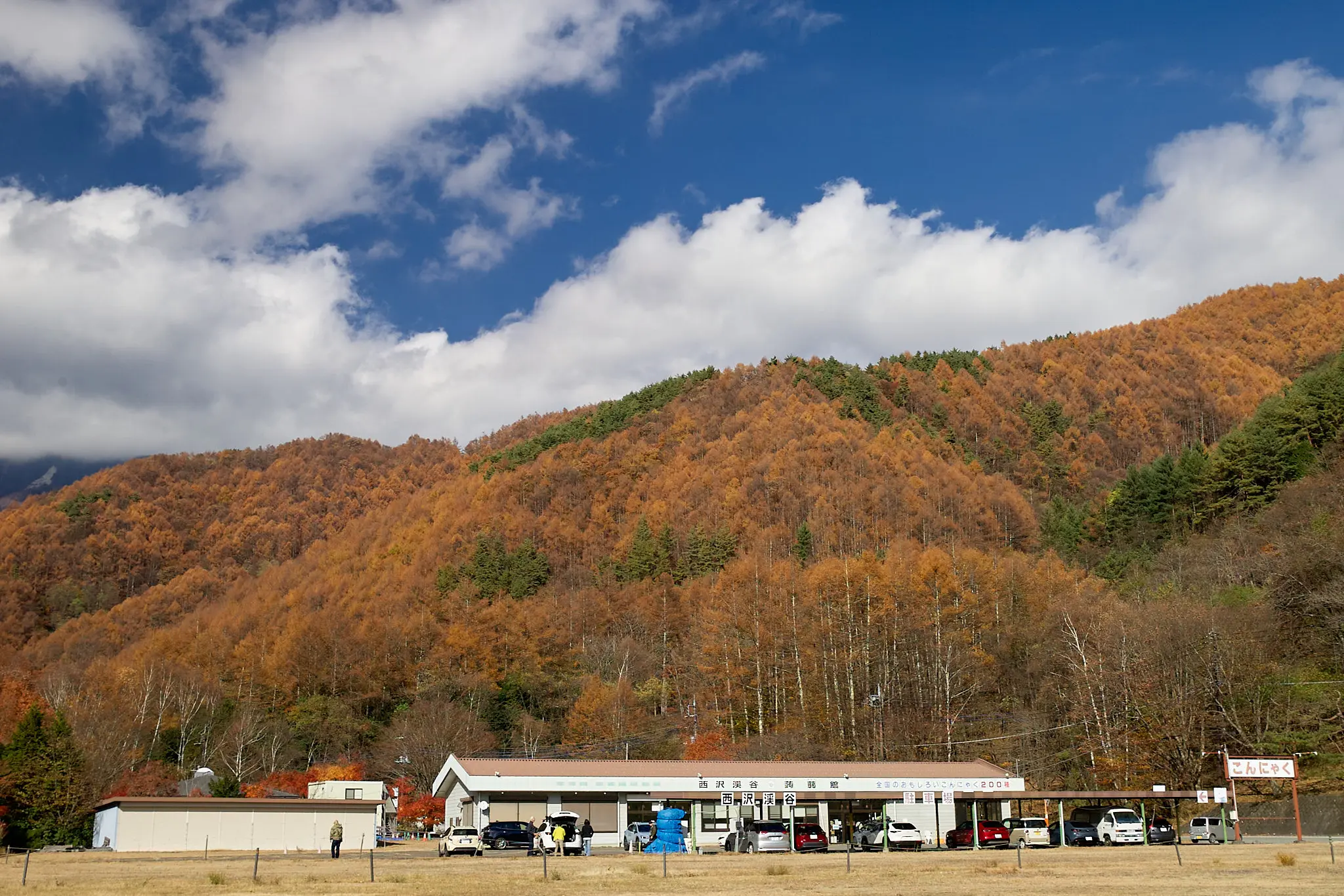 道の駅みとみで見た紅葉がキレイだった