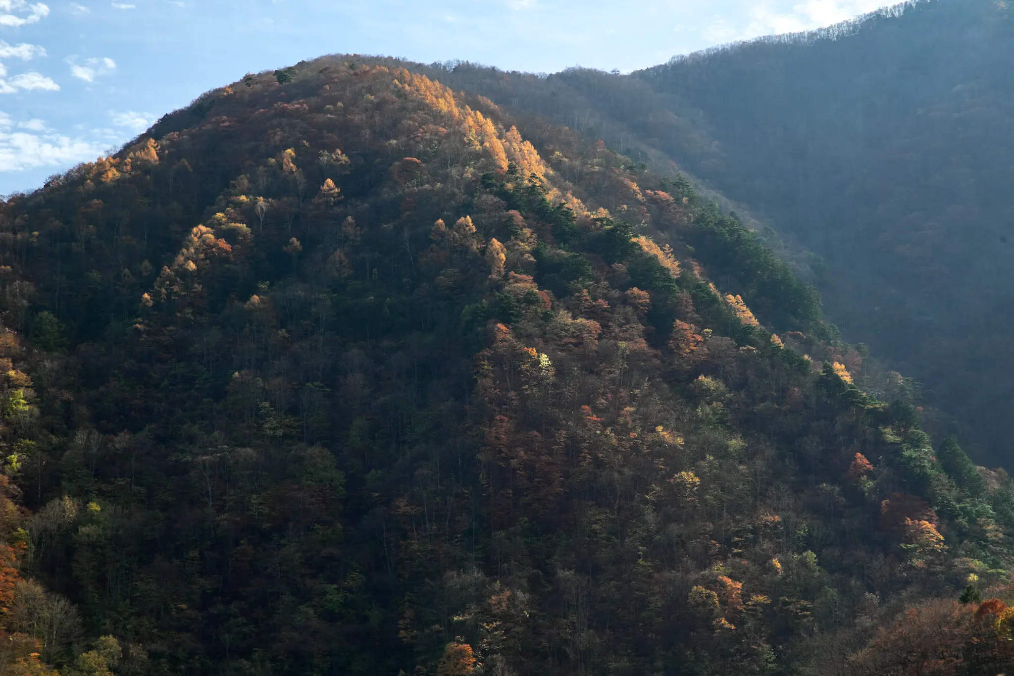 紅葉の雁坂大橋に今年も行ってみた