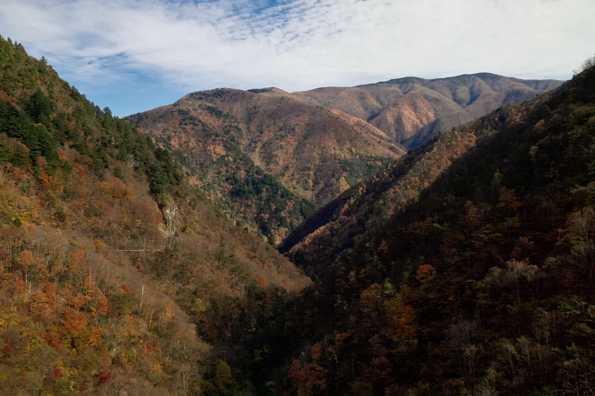 紅葉の雁坂大橋に今年も行ってみた