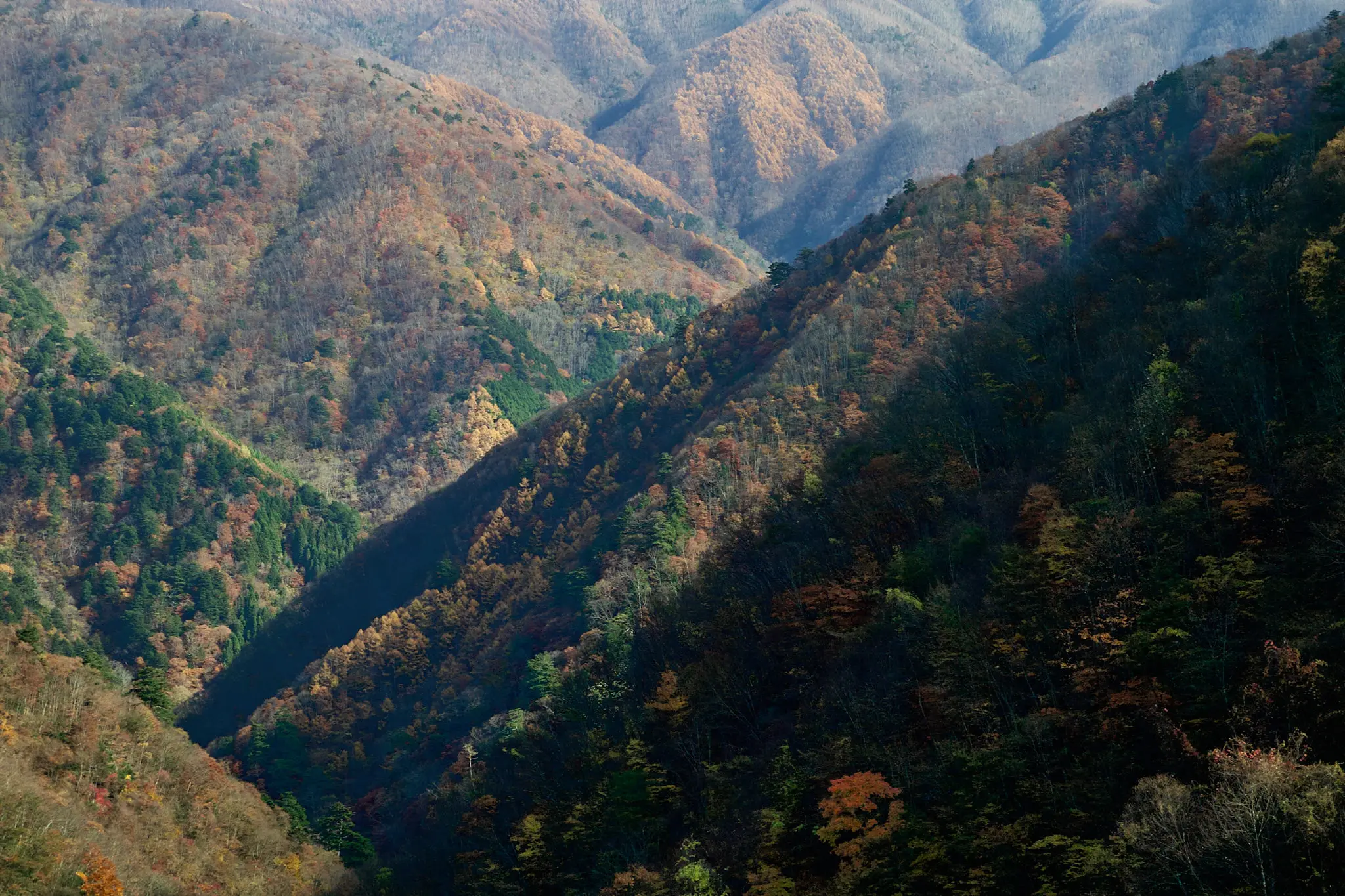 紅葉の雁坂大橋に今年も行ってみた