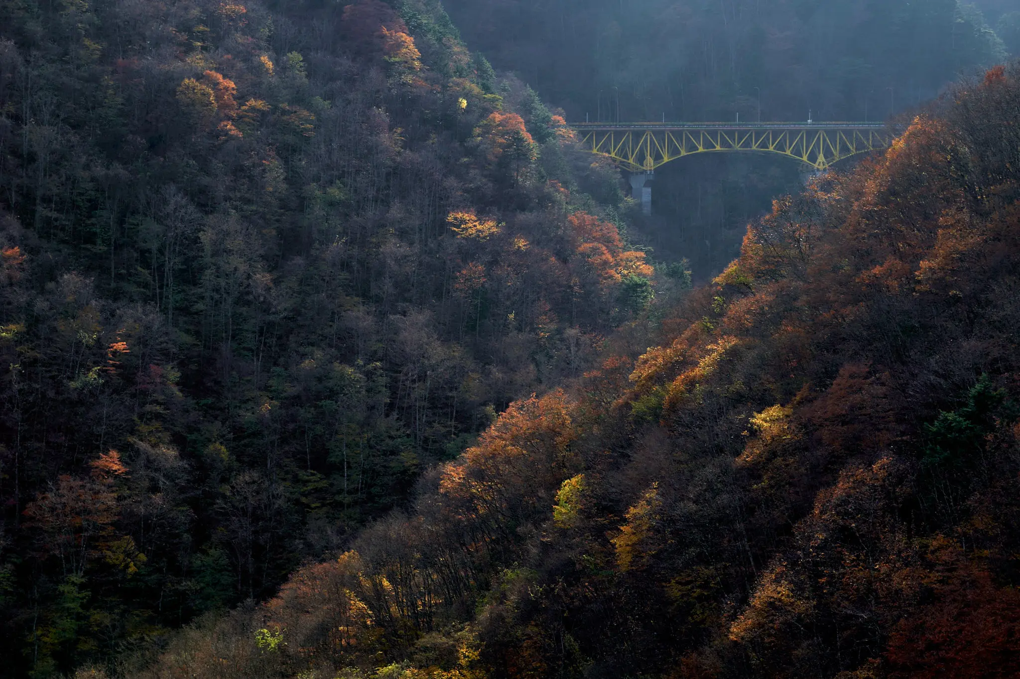紅葉の雁坂大橋に今年も行ってみた