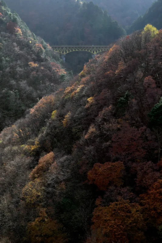 紅葉の雁坂大橋に今年も行ってみた