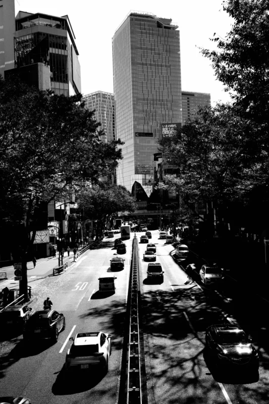 すっかりクリスマスムードの表参道と危険なお店