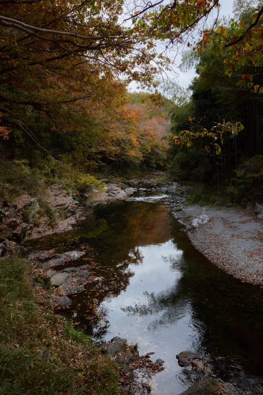 埼玉県の嵐山渓谷に紅葉を見に行ってきた（その1）