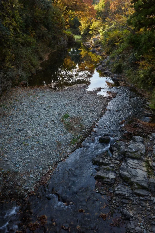 埼玉県の嵐山渓谷に紅葉を見に行ってきた（その2）