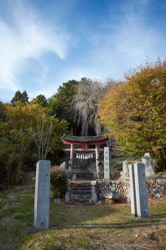 埼玉県の嵐山渓谷に紅葉を見に行ってきた（その2）