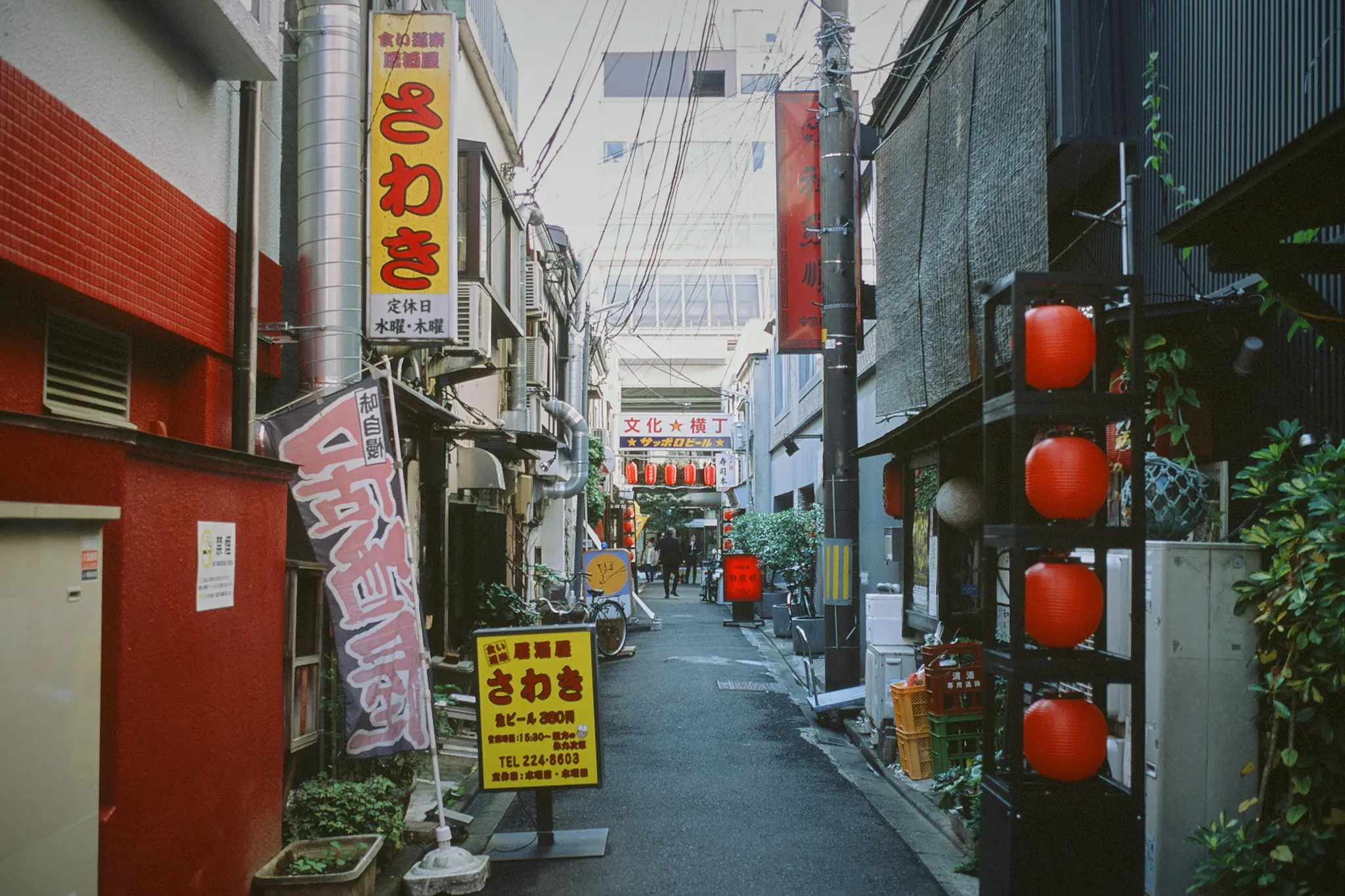 壱弐参横丁と文化横丁は雰囲気満点 / 仙台・松島旅行2025