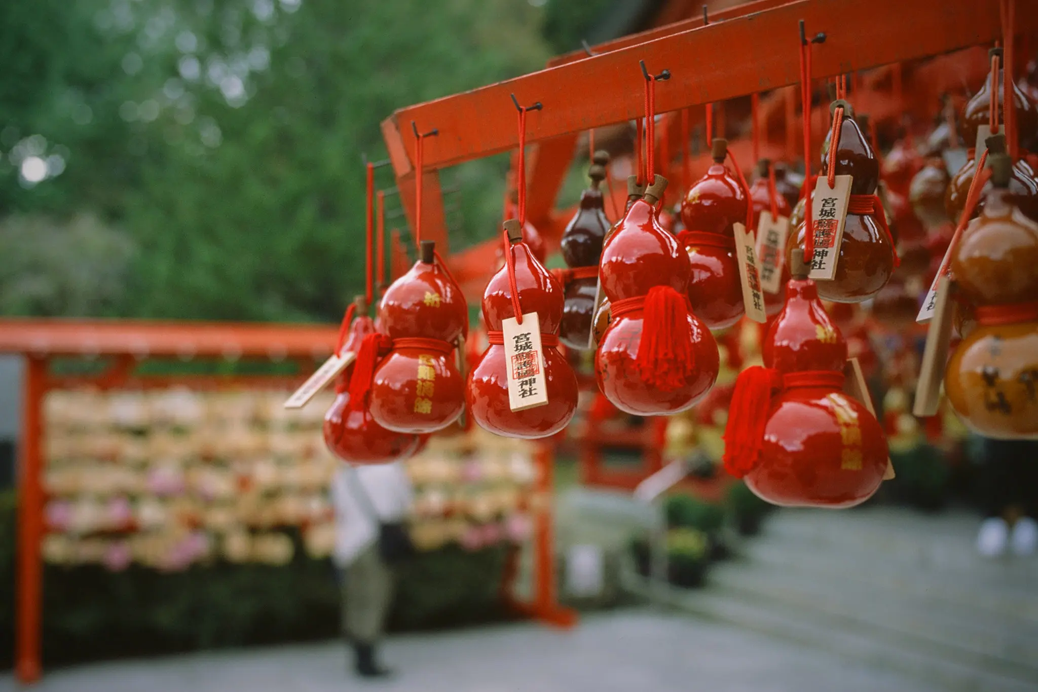 仙台城跡、テレビで良く見るアレはここだったのか / 仙台・松島旅行2025