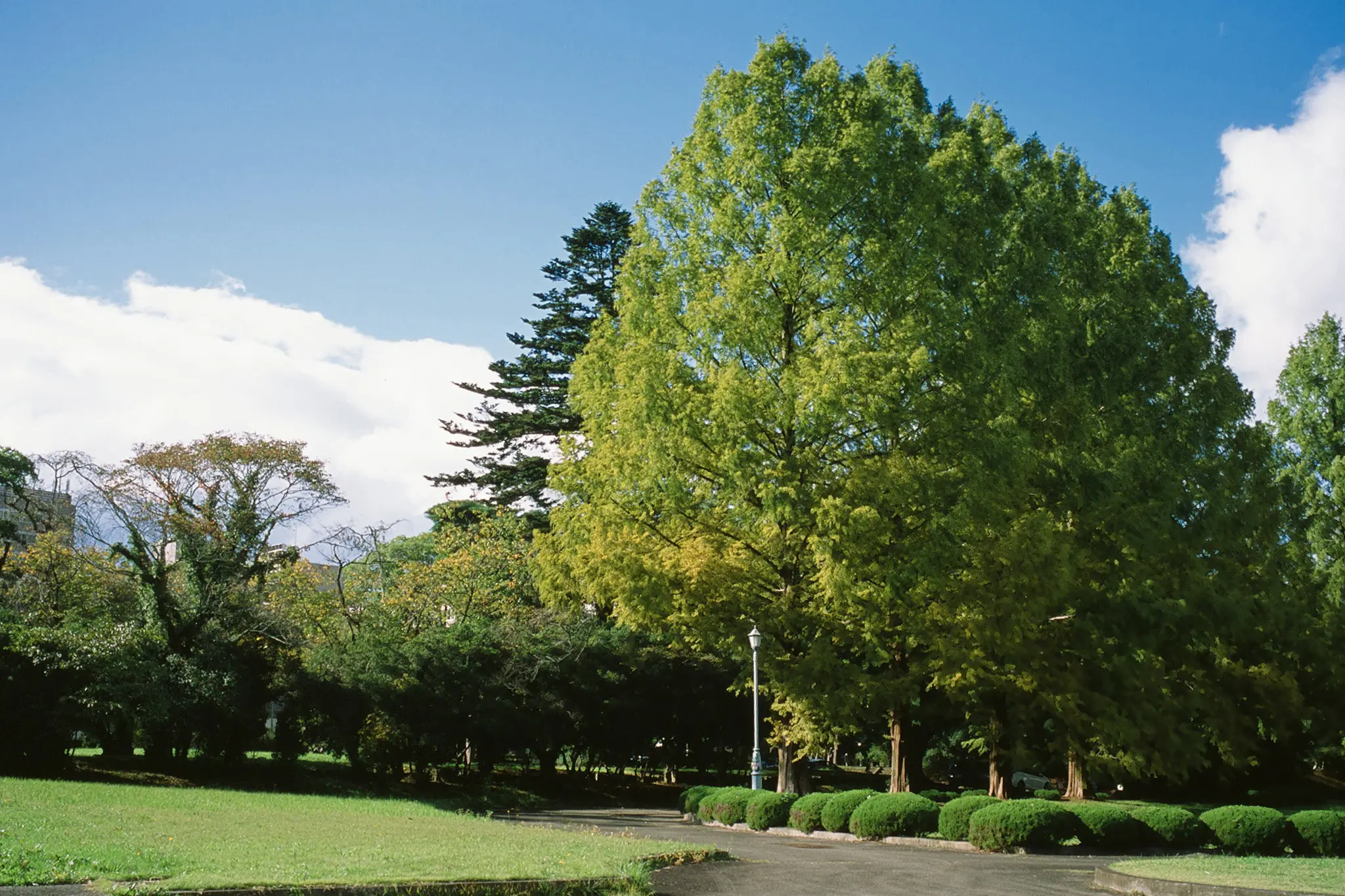 仙台城跡、テレビで良く見るアレはここだったのか / 仙台・松島旅行2025