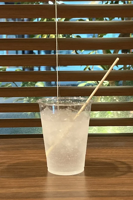 これが噂の広瀬川！と仙台一の牛たんを食す / 仙台・松島旅行2025